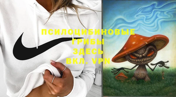 прущая мука Арсеньев