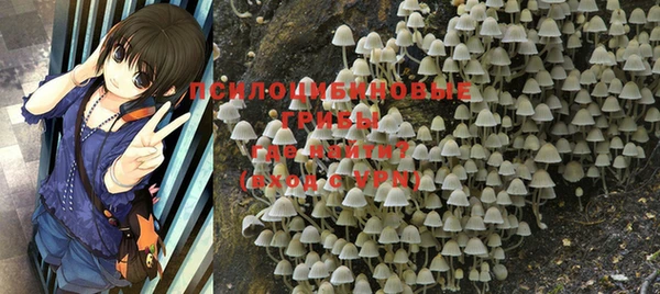 прущая мука Арсеньев