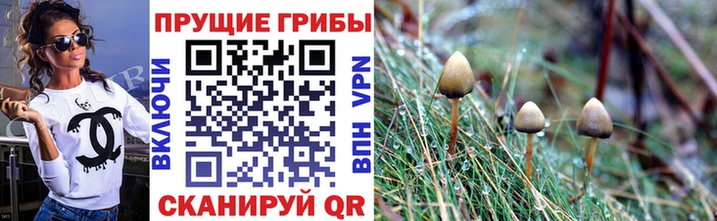 Галлюциногенные грибы мухоморы  Хвалынск 